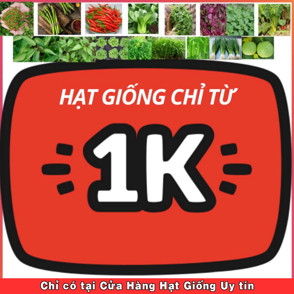 Deal 1k - Hạt giống Rau, Củ, Quả Dễ Trồng, Tỷ Lệ Nảy Mầm Cao, Hạt Giống Chuẩn F1 Cao Cấp