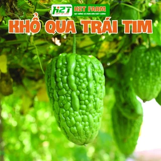 Hạt giống khổ qua trái tim F1 kháng bệnh, năng suất cao. NIN SEEDS x H2T FARM