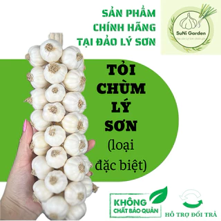 TỎI LÝ SƠN THẮT CHÙM 500G SUNI LOẠI ĐẶC BIỆT, TỎI LÝ SƠN TẾT CHÙM - ĐẶC SẢN LÝ SƠN CHÍNH GỐC TẠI ĐẢO, NGON, LỰA TO, ĐẸP