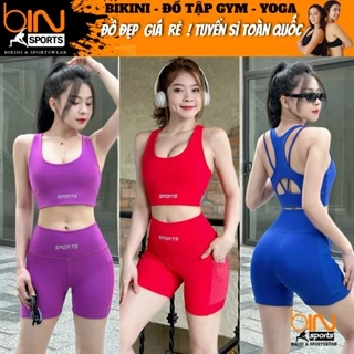 Bộ đồ tập gym yoga aerobic thể thao nữ áo bra kèm mút và quần đùi chất liệu thun poly co dãn 4 chiều BINSPORTS BN101