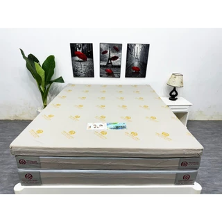 nệm dày 15p Nệm Cao Su Hoạt Tính Thiên Long Lõi Cứng không lún không đau lưng Bảo hành chính hãng giao hàng toàn quốc