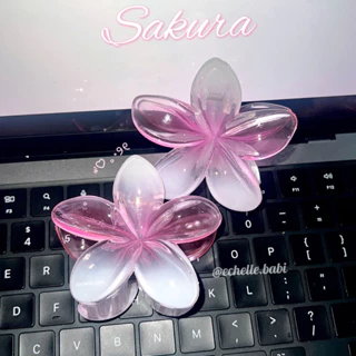 Kẹp hoa sứ thạch hồng Sakura (đã có rơm xinhh)