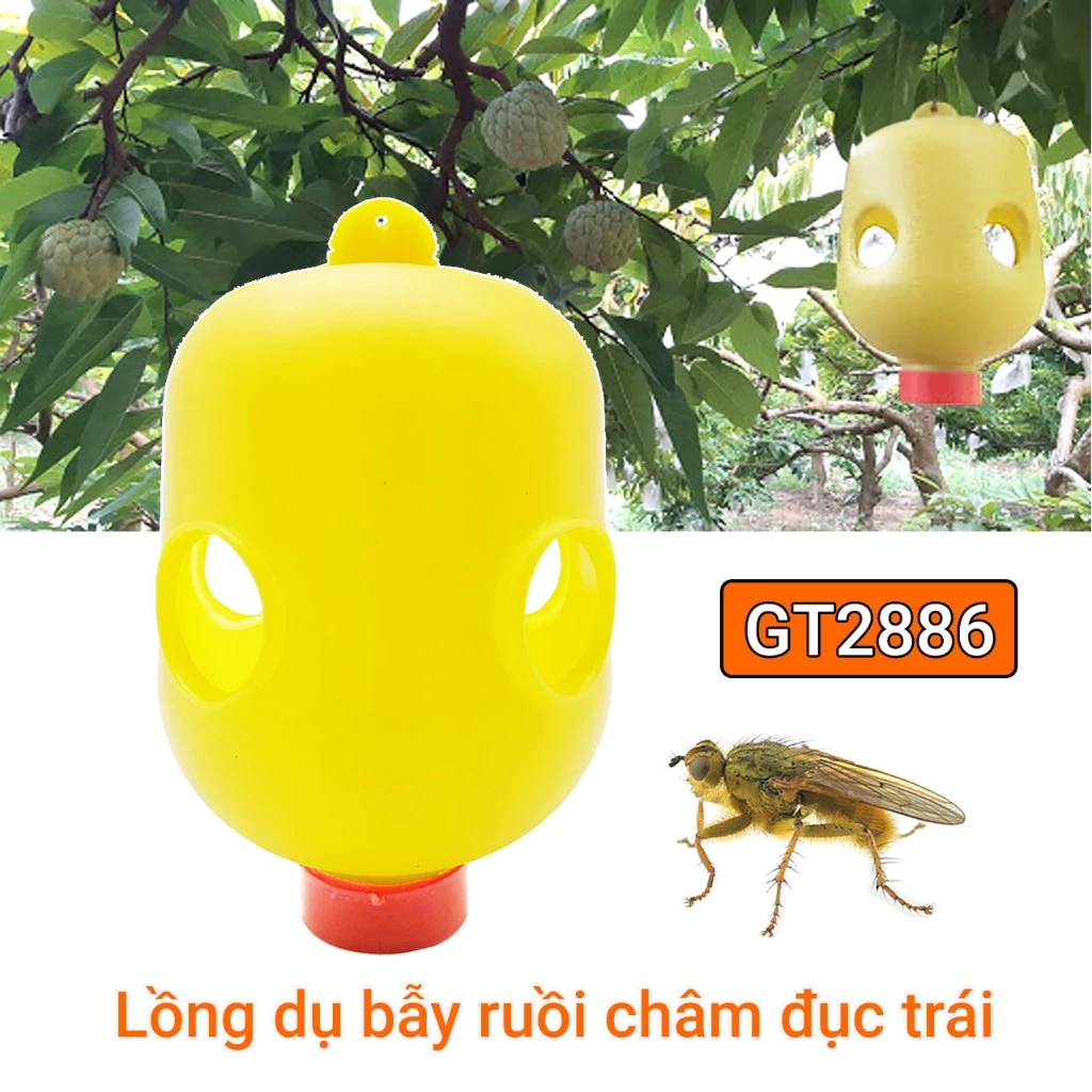 (THANH LÝ) Lồng dụ bẫy ruồi vàng châm đục trái, đốt lá làm thối quả - Bẫy đặt mồi diệt ruồi hiệu quả