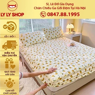 Bộ chăn ga gối 3 Món Cotton đũi dệt bông xơ đậu lành ga gối trần bông đũi cotton, kèm 2 vỏ gối