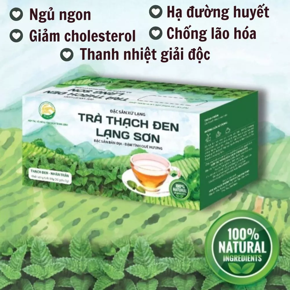 Trà thạch đen Lạng Sơn hỗ trợ hạ đường huyết, thanh nhiệt mùa hè