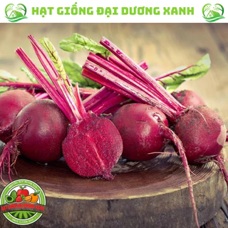 Hạt giống củ dền đỏ cao sản ( tặng phân bón )