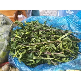 rau rừng Gia lai (rau lũi) 100g