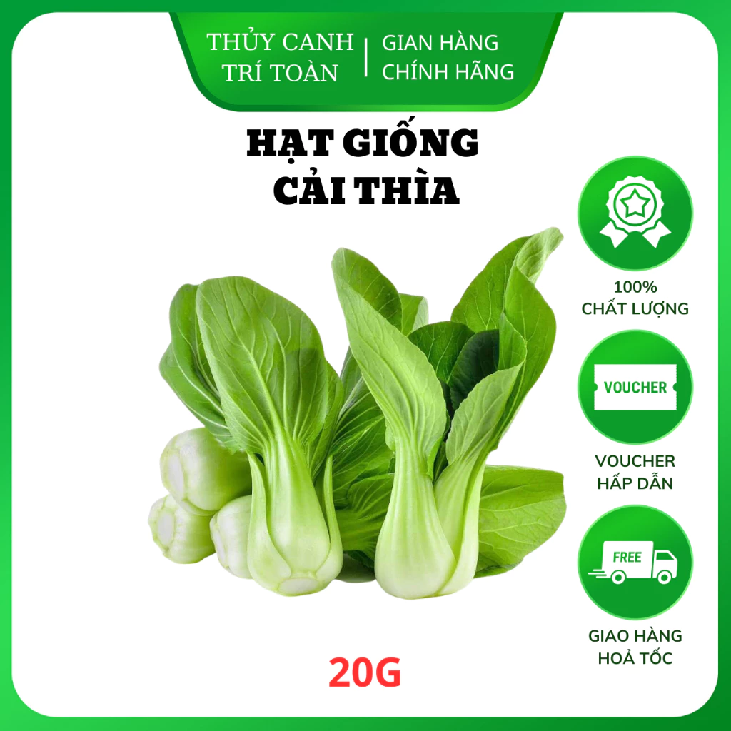 Hạt giống Cải Thìa Cọng Xanh (Cải Chip) chịu nhiệt tốt, dễ trồng (gói 20 gr) - Hạt giống Rạng Đông