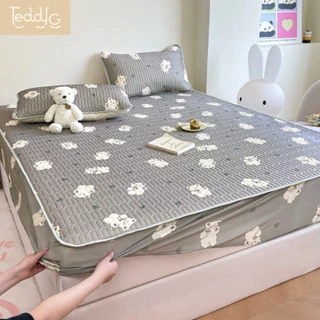 Set 3 món chiếu điều hoà cao su non latex 5D hoạ tiết teddy