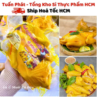 [HỎA TỐC HCM] Gà Ủ Muối Hoa Tiêu Nguyên Con Có Đầu - Chất Lượng Nhất - Giá Sỉ Rẻ Nhất Tại Xưởng - Hải Sản Tuấn Phát