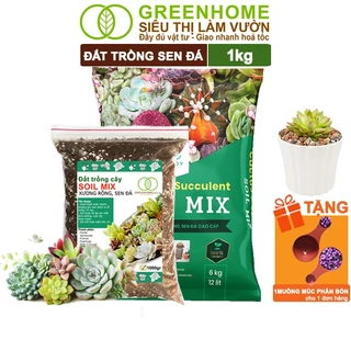 Đất Trồng Sen Đá Greenhome, Soil Mix, Bao 1kg, Trộn Sẵn, 85% Đá Khoáng, Lên Màu, Thoát Nước Tốt