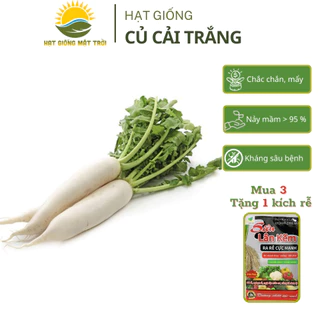 Hạt giống Củ Cải Trắng MT 742, Hạt giống trồng quanh năm, sinh trưởng mạnh, Mua 3 Tặng 1 kích rễ, Tỷ lệ nảy mầm cao>95%