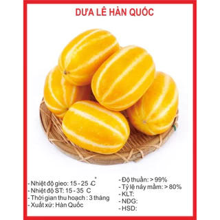 Hạt giống dưa lê Hàn Quốc (10 hạt) - siêu ngọt, giàu dinh dưỡng, năng suất cao