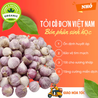 1 kg tỏi cô đơn, mồ côi, 1 nhánh Việt Nam loại NHỎ ngon lành bón phân sinh học cực tốt cho sức khỏe