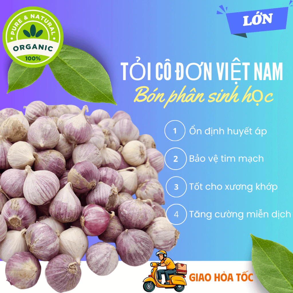 1 kg tỏi cô đơn Việt Nam loại LỚN ngon lành, tỏi 1 nhánh Hải Dương, tỏi mồ côi bón phân sinh học cực tốt cho sức khỏe