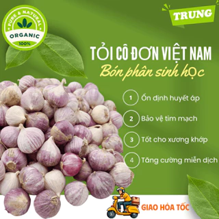 1 kg tỏi cô đơn Việt Nam loại TRUNG ngon lành, tỏi 1 nhánh Hải Dương, tỏi mồ côi bón phân sinh học