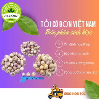 100 Gr Tỏi Cô Đơn mồ côi 1 Nhánh NGON ĐẸP, Chắc Củ, Bón Phân Sinh Học, An Toàn cho sức khỏe