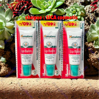 Lip Balm himalaya SON Dưỡng Hồng môi 10g.