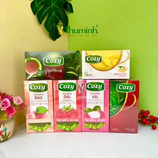 Trà Cozy Túi Lọc Có Đủ Hương Hộp 50g (25 gói)