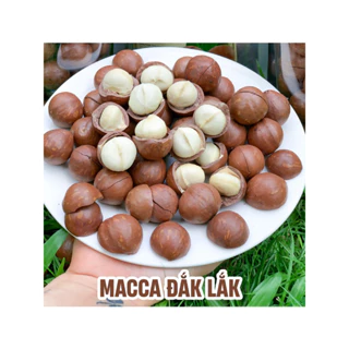 Hạt macca daklak nứt vỏ sấy chín giàu dinh dưỡng loại Vip(28-32) 250gr Titi food