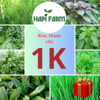 Deal 1k 100 hạt, Hạt Giống Rau Thơm trồng thử, trồng quanh năm