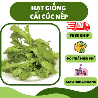 Hạt giống rau cải cúc nếp (10 gram) - ăn mềm, chế biến ngon, trồng quanh năm