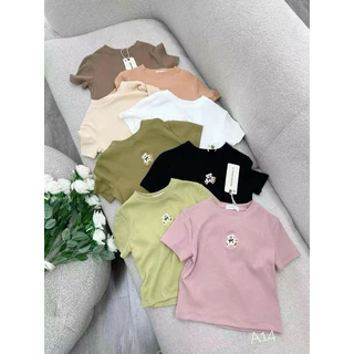 Áo thun tăm nữ tay ngắn cổ tròn thêu gấu nơ hàng Quảng Châu chất cotton đẹp, áo phông mùa hè baby tee hàn quốc 92144