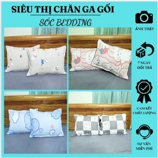 {Bán Rẻ Lấy Tương Tác] Vỏ Gối Đầu Cotton Polly Trần Bông Siêu Xinh 2024 KT 45x65cm