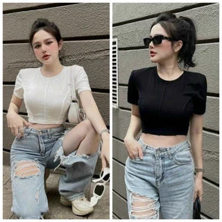 Áo thun ôm nữ croptop cổ tròn viền nổi A125