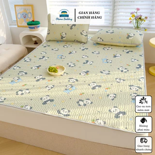 Chiếu điều hòa cao su non 2D Latex nhập khẩu cao cấp Otama Bedding chiếu cao su non tencel mát lạnh thoáng khí