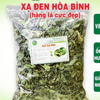 Xạ đen Hoà Bình chính hiệu, hàng lá cực đẹp, bảo vệ lá gan, ngừa xơ gan, tiểu đường, mỡ máu cao, ổn định huyết áp