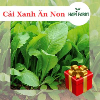 Hạt Giống Rau Cải Bẹ Xanh Ăn Non (20gr~3500 hạt), thu hoạch sau 7-15 ngày