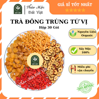 Hộp 30 Túi Trà Đông Trùng Hạ Thảo Tứ Vị Thảo Mộc, Đẹp Da, Chống Lão Hóa, Dễ Ngủ, Thanh Nhiệt - Thảo Mộc Đất Việt