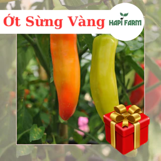 Hạt giống Ớt Sừng Vàng F1 gói 0.5gr trồng quanh năm