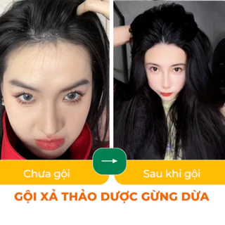 Dầu Gội Thảo Dược Hữu Cơ Gừng Dừa Cỏ Cây Hoa Lá VIETNAM - Giảm Rụng Tóc Giúp Tóc Mềm Mượt-440g/chai