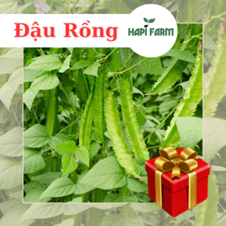 Hạt Giống Đậu Rồng Tứ Quý, gói 10gr, trồng quanh năm