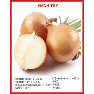 Hạt Giống Hành Củ Yellow Texas Grano,hành tây -Gói 2gram (tặng kèm phân bón)