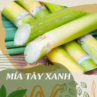 200 Hạt Giống Mía Tây Xanh - Hạt Giống 4 Mùa