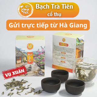 Bạch trà tiên thượng hạng Hà Giang loại 1 thơm mạnh, Bạch trà tiên cổ thụ Hà Gaing hộp 100gr