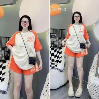 set short nữ cotton su cao cấp siêu mát mịn - sang xịn phong cách