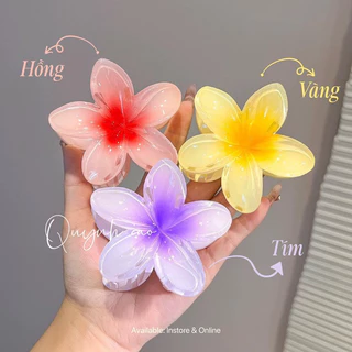 KẸP HOA SỨ HOT TREND SIZE 8cm