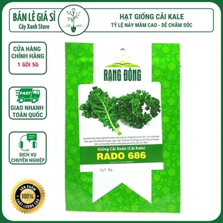 Hạt Giống Cải Xoăn (Cải Kale ). RADO 686