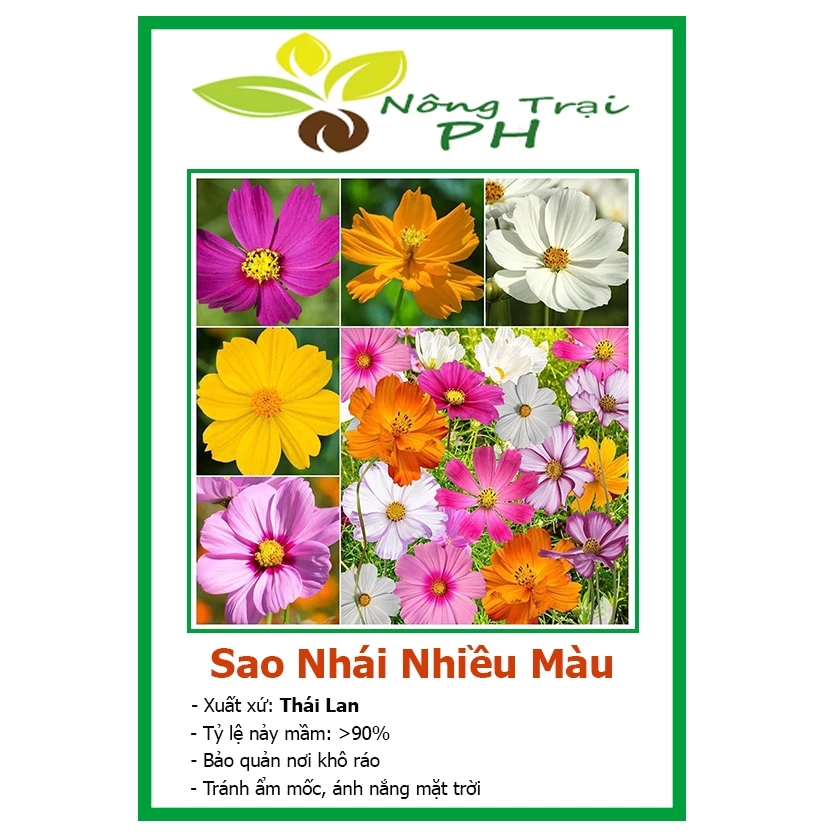 DEAL 1K - Hạt Giống Hoa Sao Nhái F1 Mix Nhiều Màu (tặng kèm phân khi mua gói 20gr)