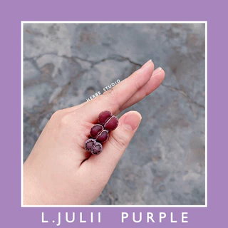 [herbe.studio] Lithops Julii Purple - Sen mông, thạch lan Julii màu tím