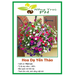 Hạt giống hoa dạ yến thảo rủ petunia mix nhiều màu sắc