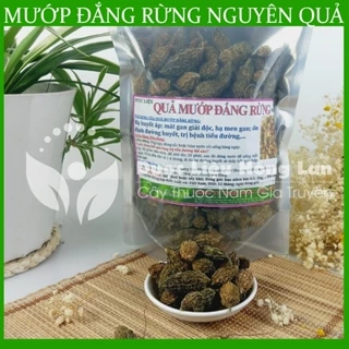 TRÁI KHỔ QUA (MƯỚP ĐẮNG) RỪNG nguyên quả khô sạch đóng gói 500gram - congtyduoclieuhonglan