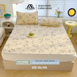 Chiếu điều hòa cao su non Tencel Latex 5D nhập khẩu cao cấp MD.DECOR - BEDDING kích thước M6 M8