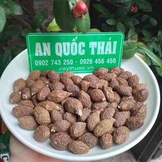 Hạt Ươi Bay, Hột Ươi, Đười Ươi Sẻ 500g Loại Ngon, Chuẩn Rừng