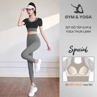 Set Đồ Tập Gym Nữ, Bộ Yoga Nữ Có Đệm Ngực May Liền, Áo Croptop Tay Ngắn Quần Legging Thun Lạnh Co Giãn Đa Chiều SET03