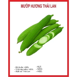 Hạt giống mướp hương Thái Lan-gói 10 hạt-tặng kèm gói phân bón lót